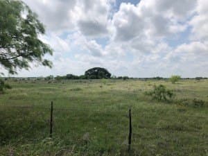 100 acres in Concho County gallery image 3