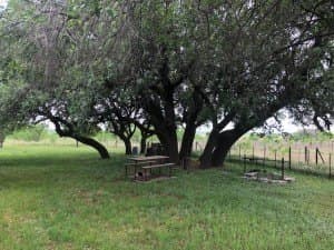 100 acres in Concho County - photo 23