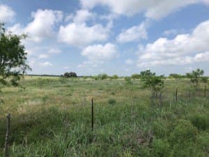 100 acres in Concho County - photo 38