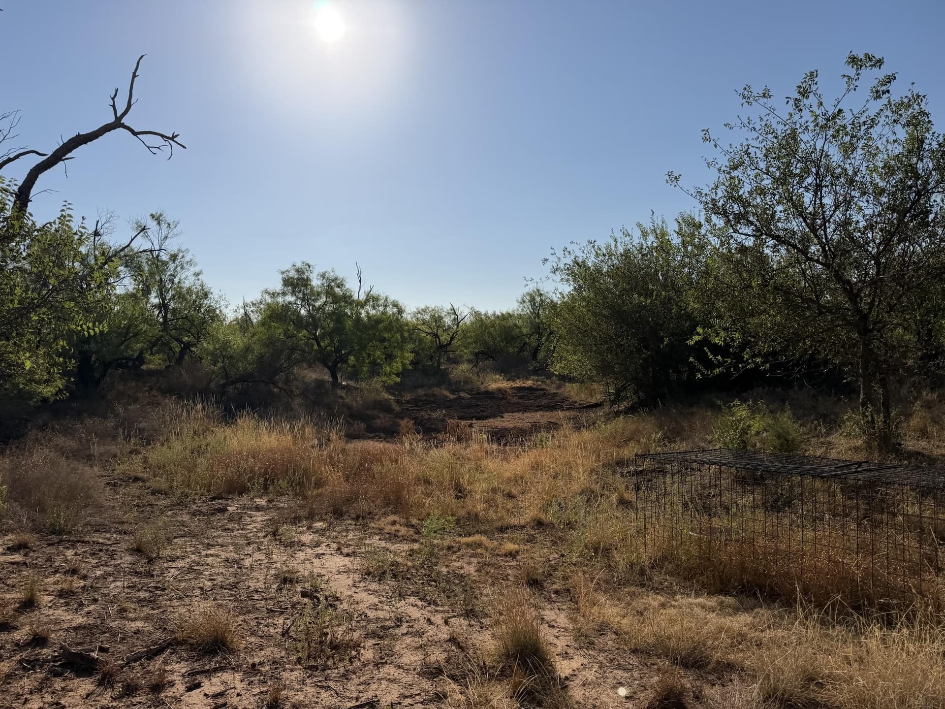 163.3 acres in Dickens County - photo 5
