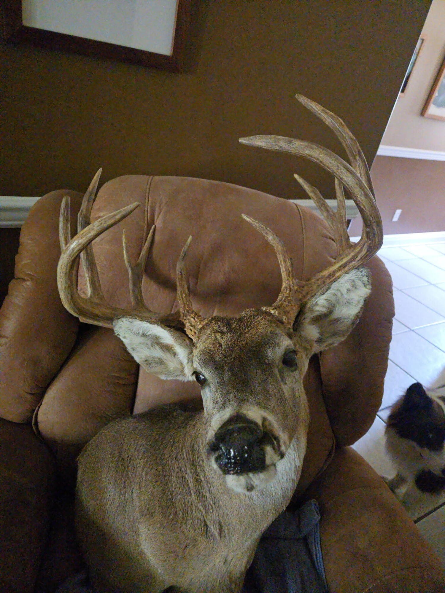 163.3 acres in Dickens County - photo 44