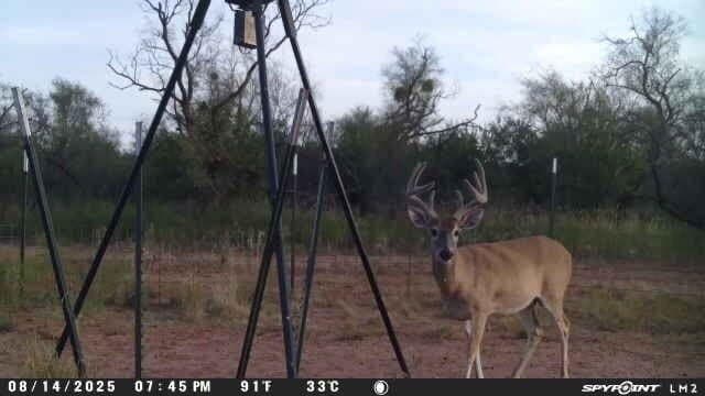 163.3 acres in Dickens County - photo 36