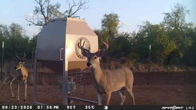 163.3 acres in Dickens County - photo 37