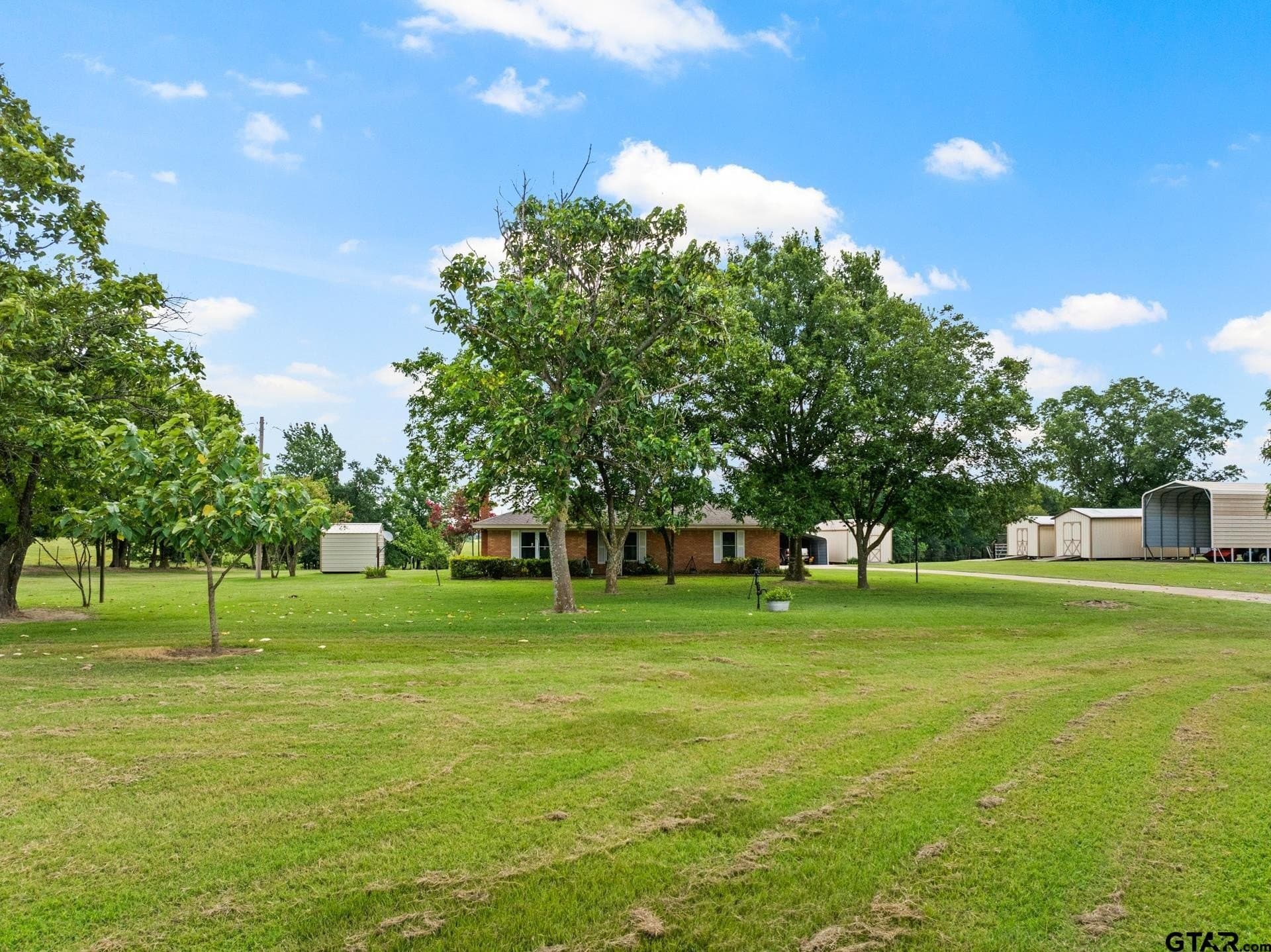 16.23 acres in Camp County - photo 3