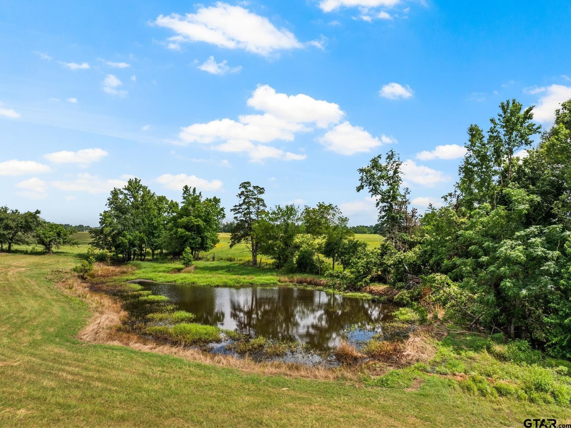 16.23 acres in Camp County - photo 25