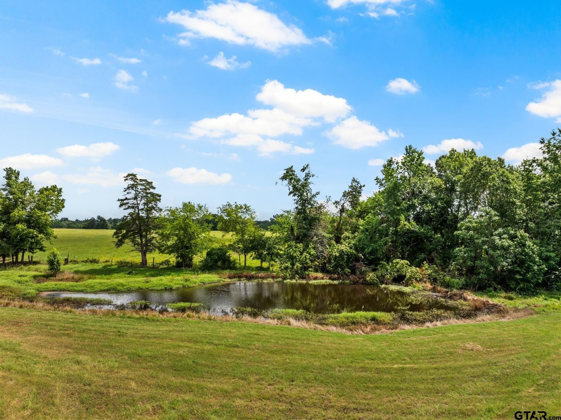 16.23 acres in Camp County - photo 24
