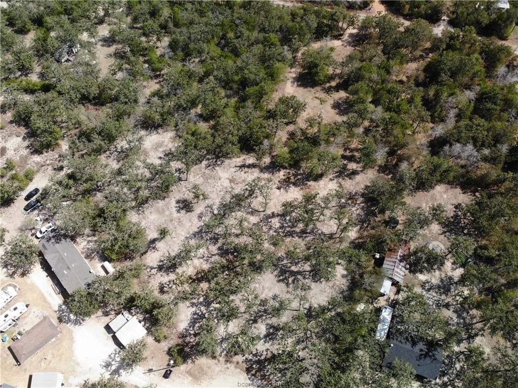 0.55 acres in Burleson County - photo 15
