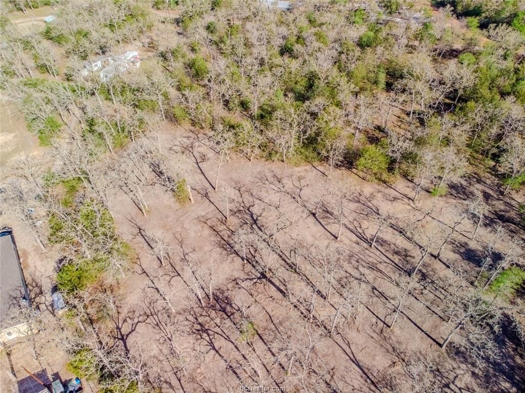 0.55 acres in Burleson County gallery image 4