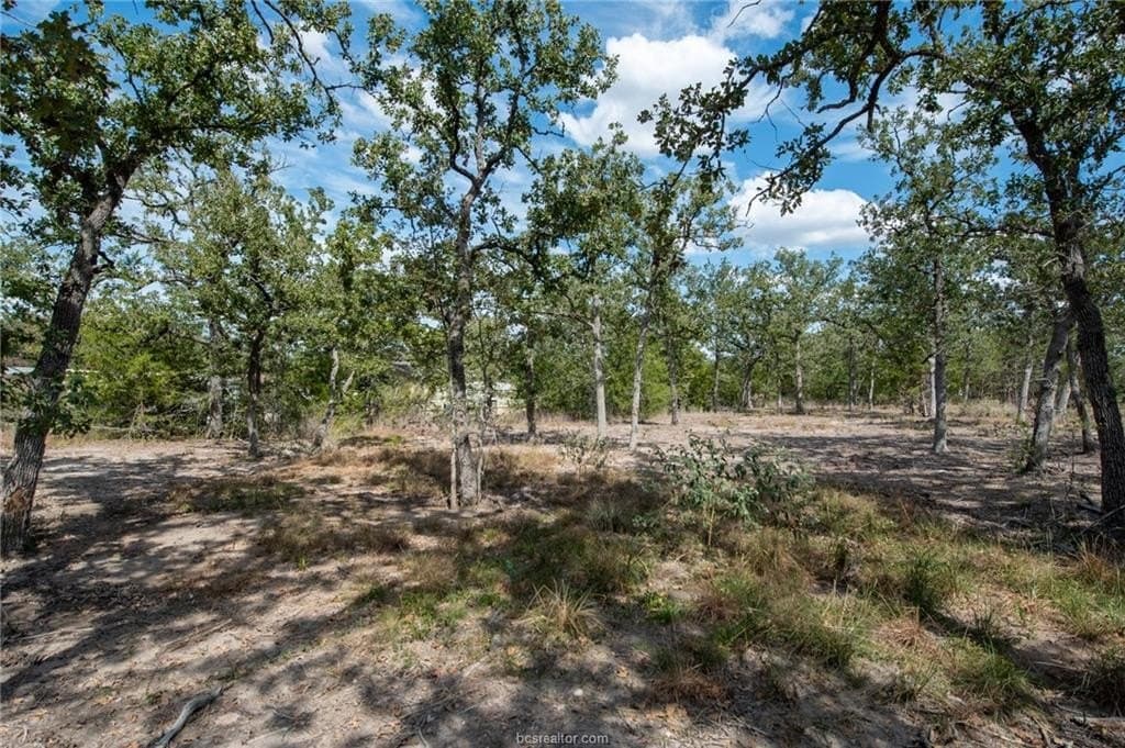 0.55 acres in Burleson County - photo 33