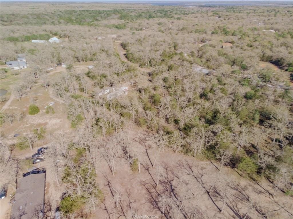 0.55 acres in Burleson County gallery image 2