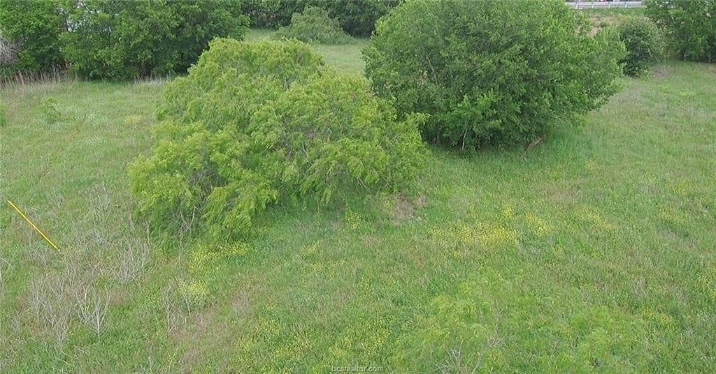 3.38 acres in Burleson County - photo 19