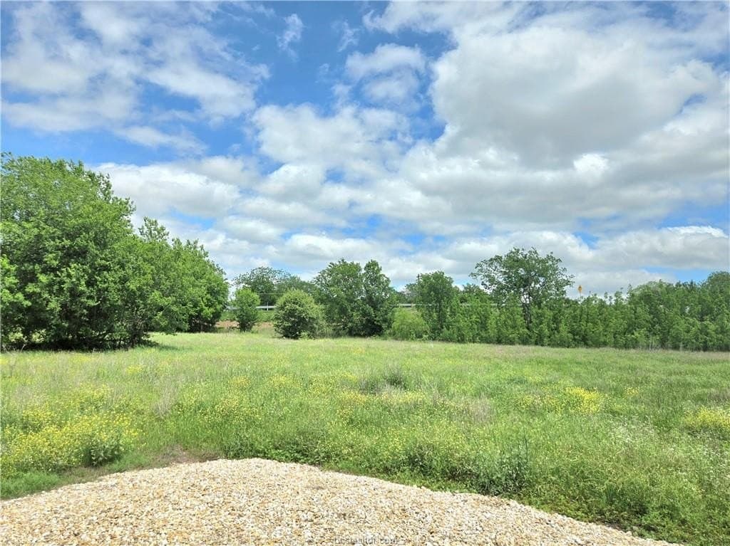 3.38 acres in Burleson County - photo 9