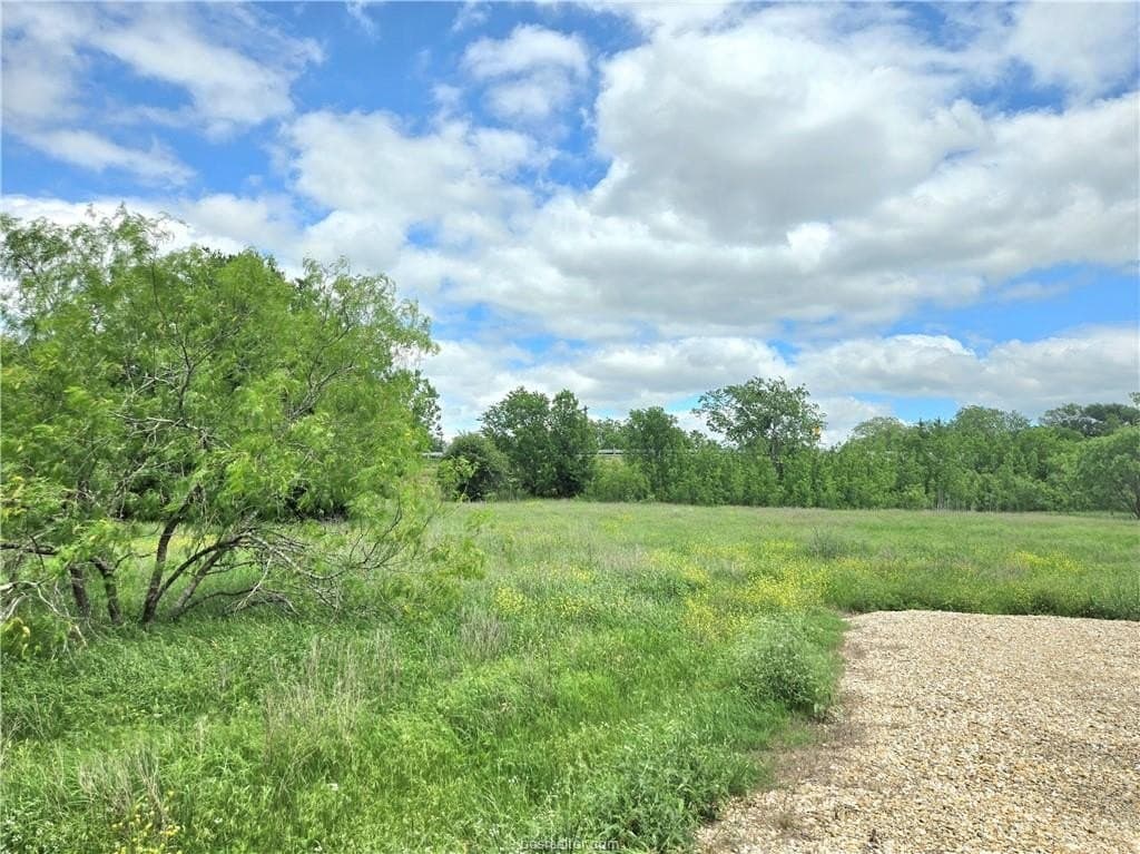 3.38 acres in Burleson County - photo 8