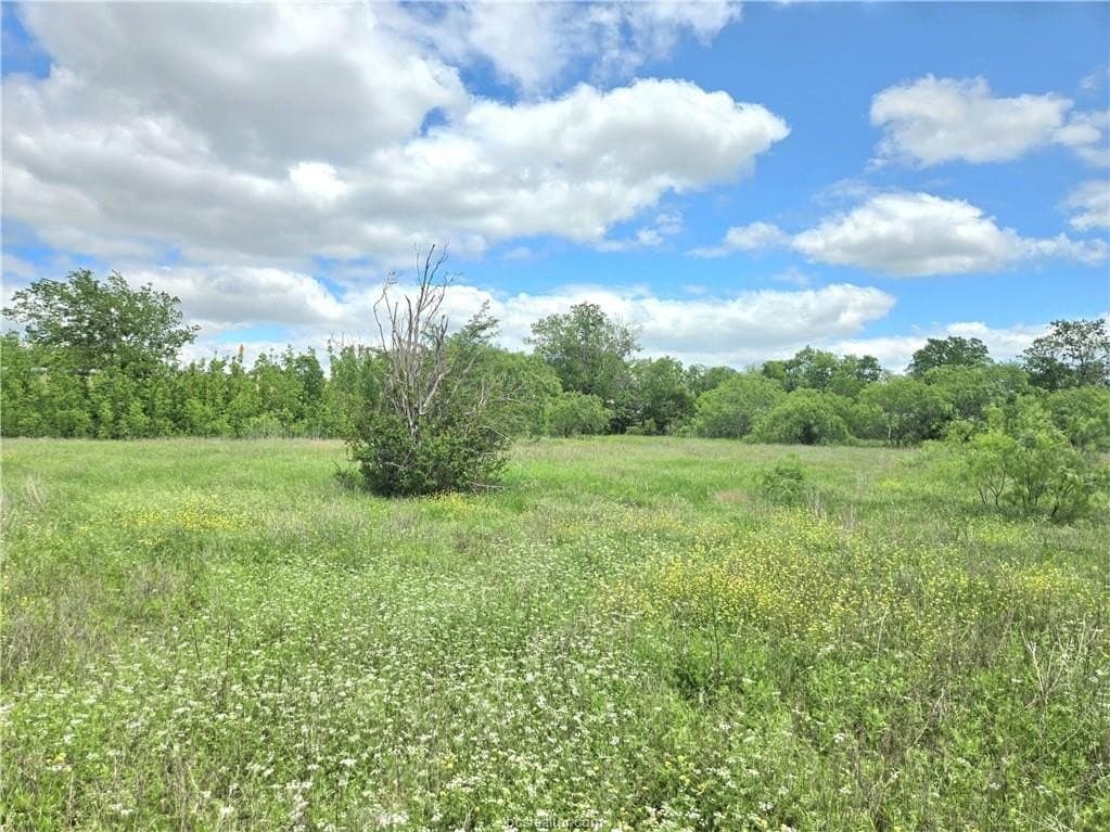 3.38 acres in Burleson County - photo 11