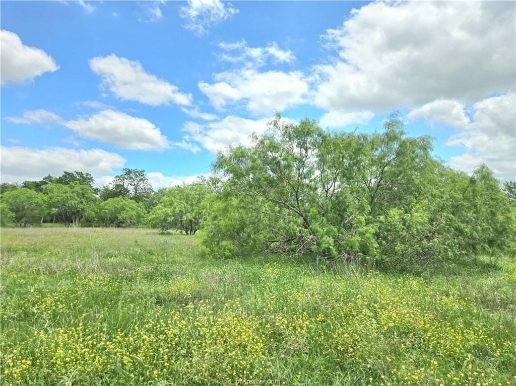 3.38 acres in Burleson County - photo 14