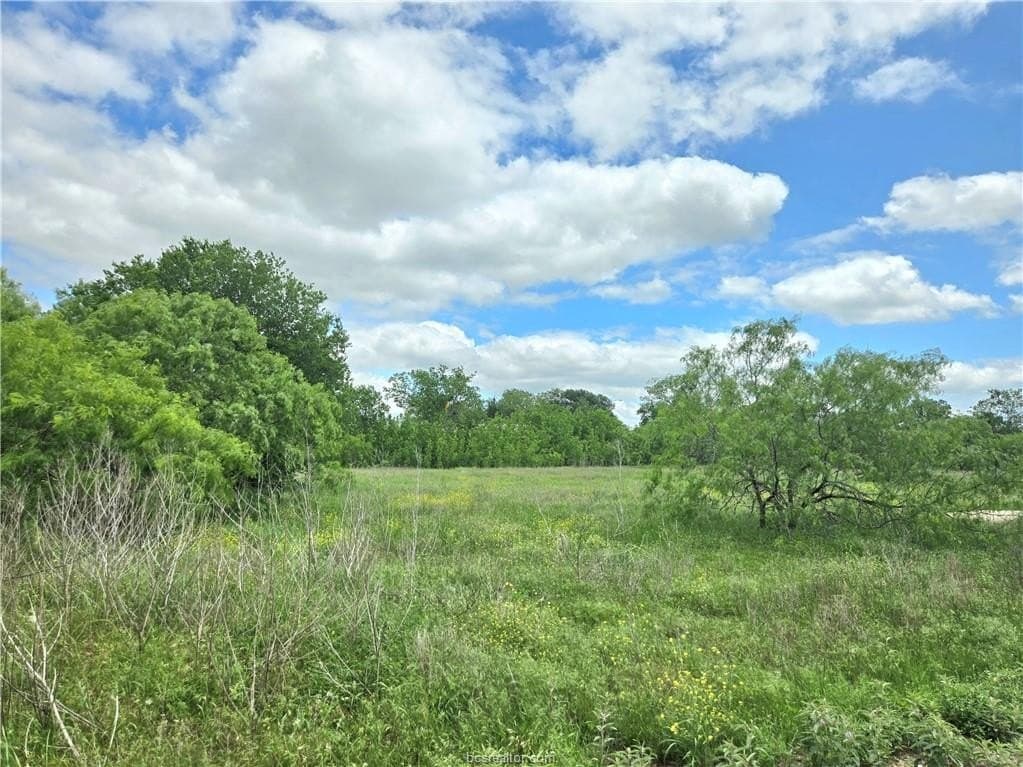 3.38 acres in Burleson County gallery image 4