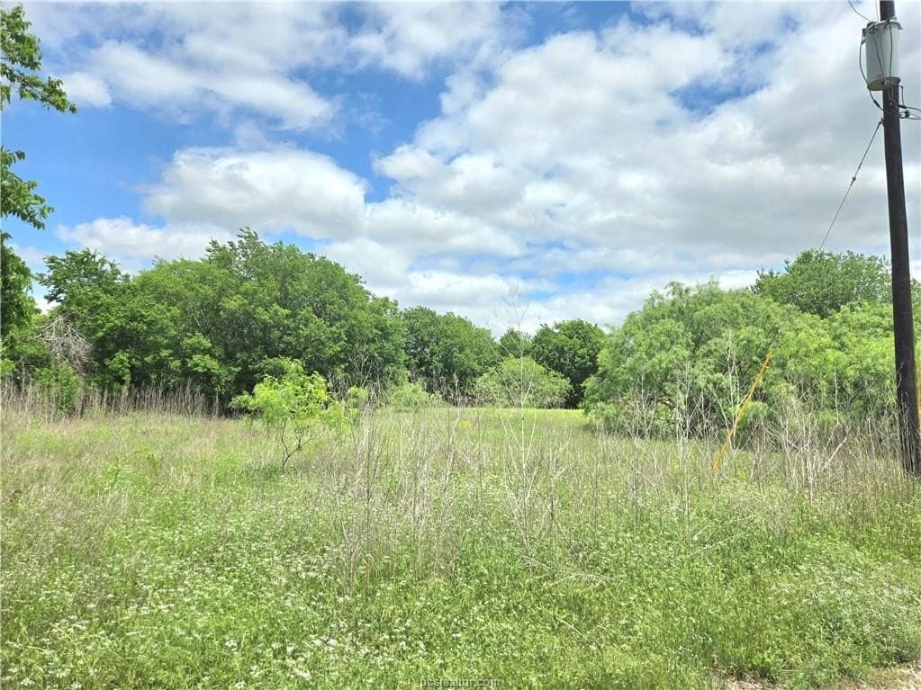 3.38 acres in Burleson County gallery image 3