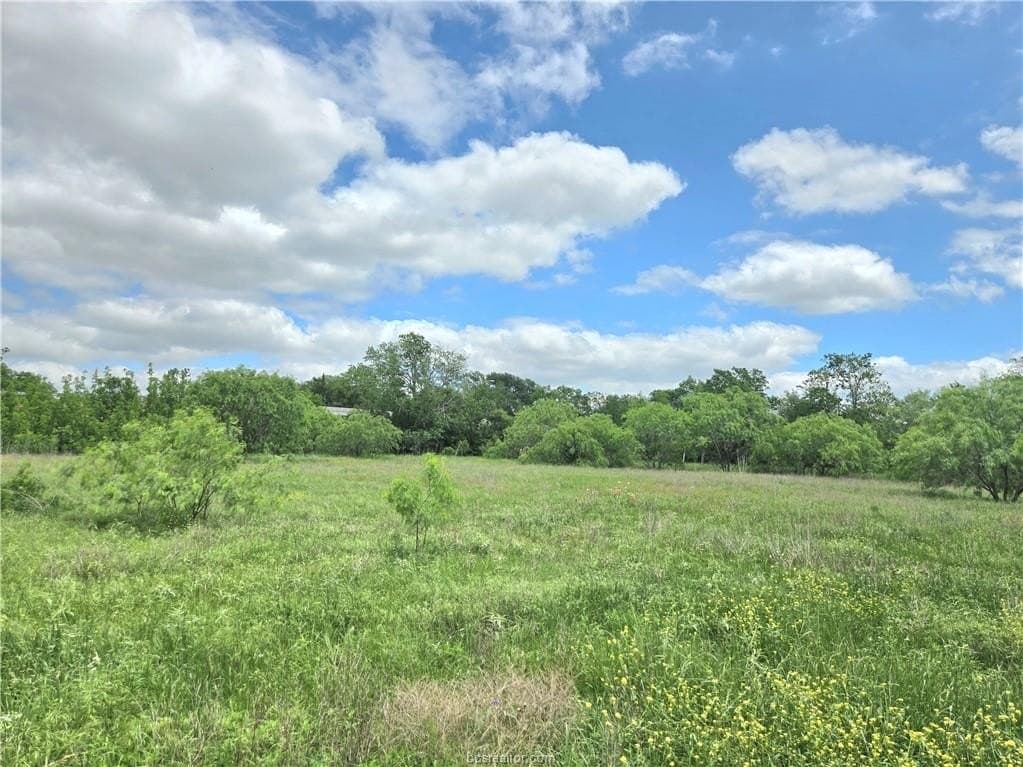 3.38 acres in Burleson County - photo 15