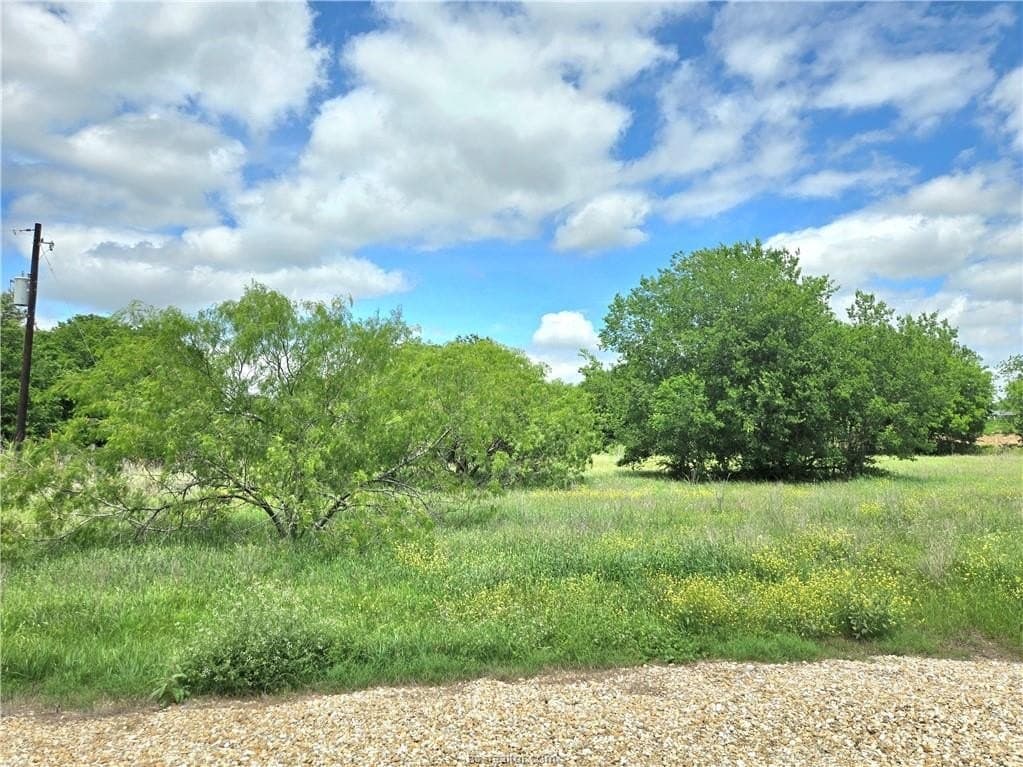 3.38 acres in Burleson County - photo 10