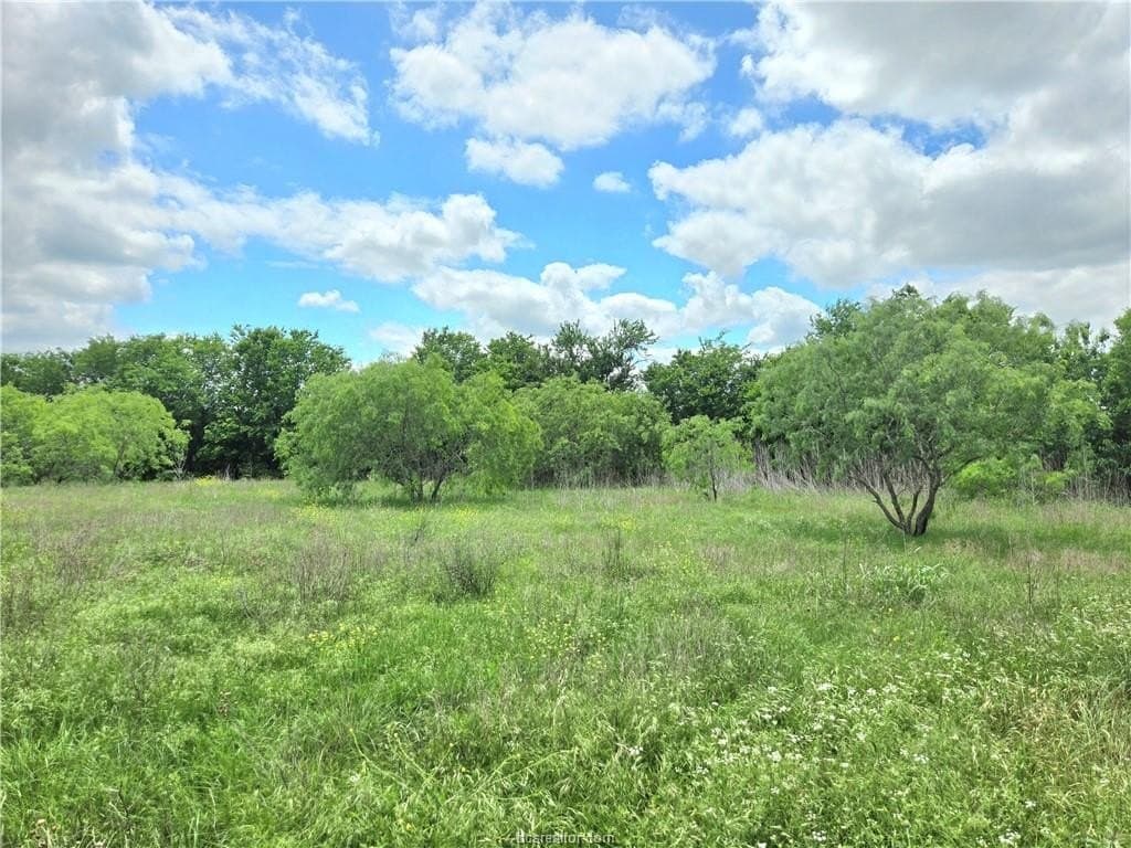 3.38 acres in Burleson County - photo 13