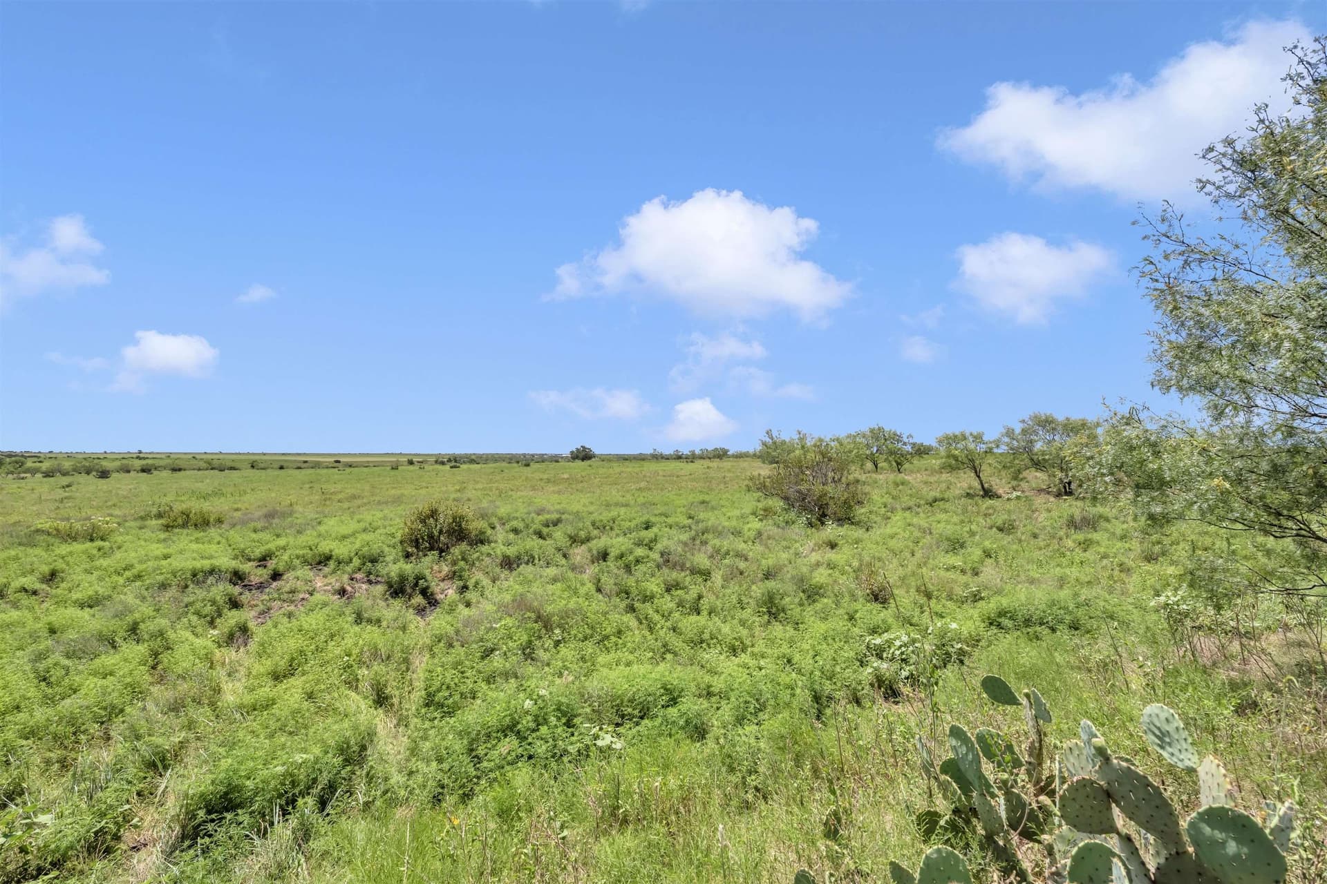 67 acres in Burnet County - photo 19