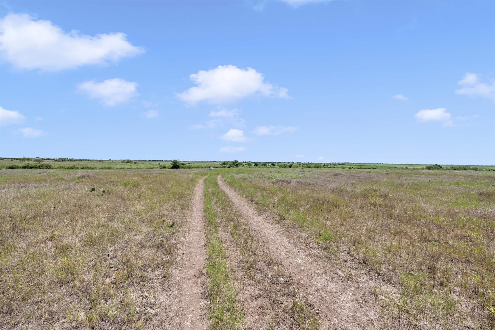 67 acres in Burnet County - photo 17