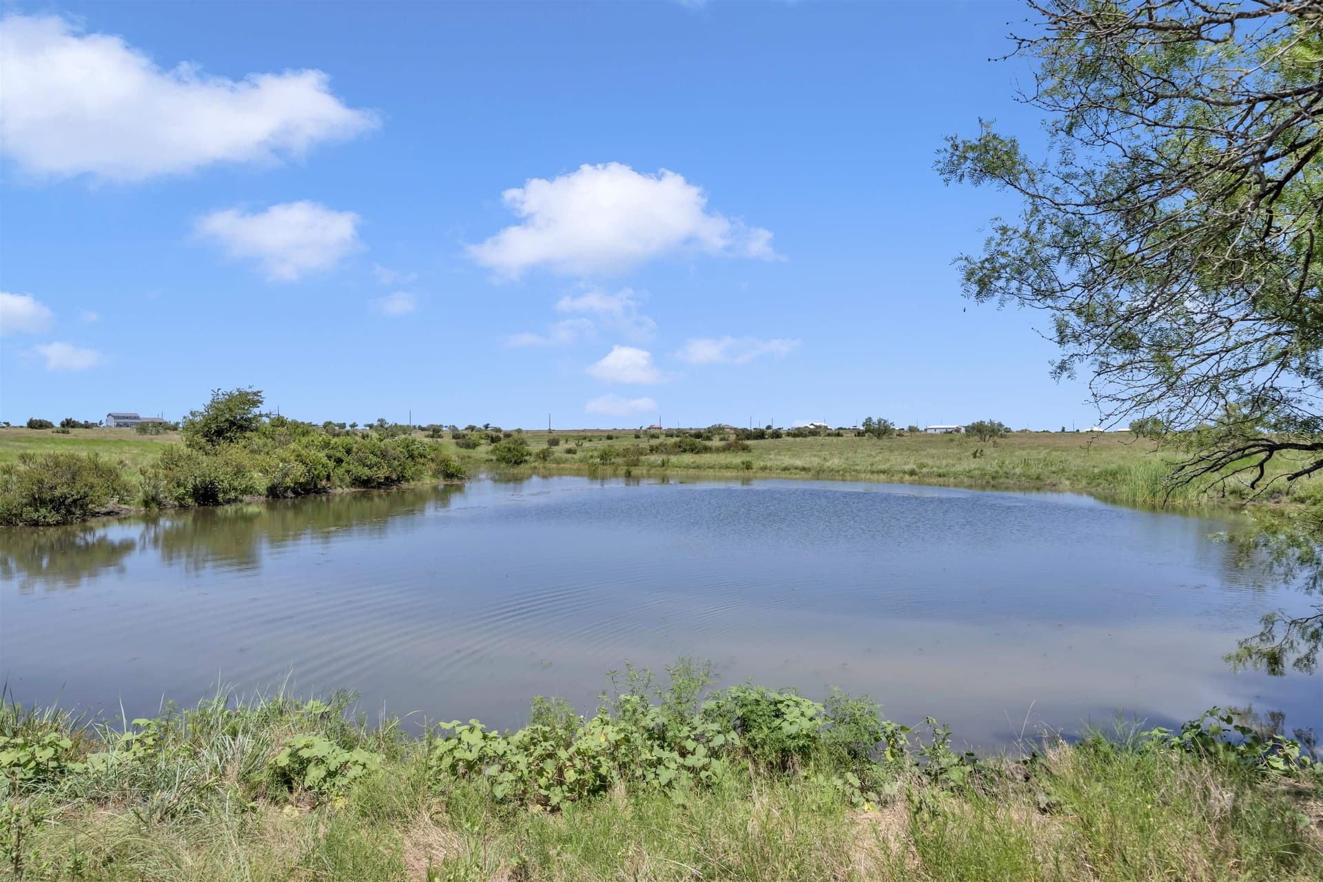 67 acres in Burnet County - photo 14