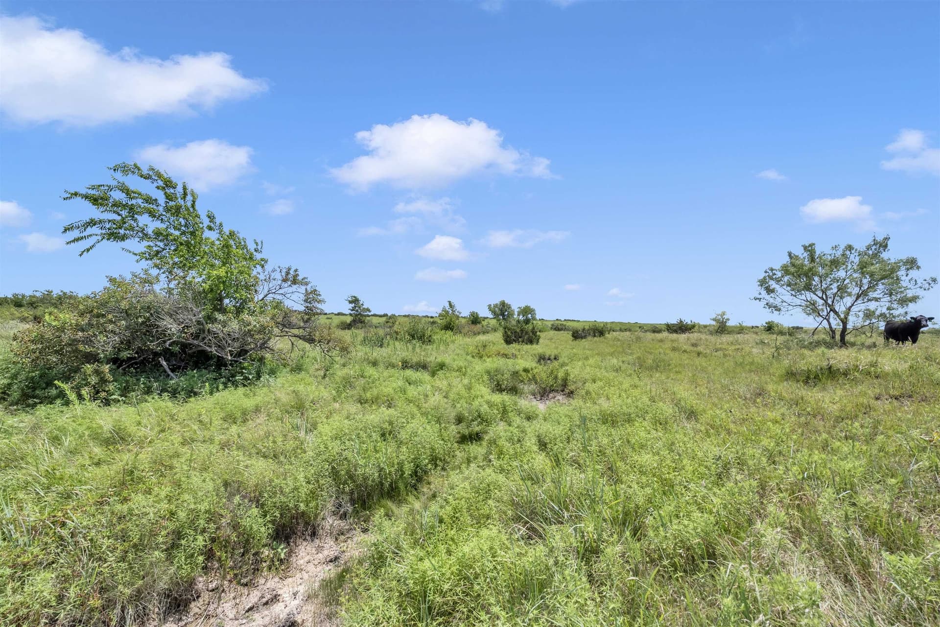 67 acres in Burnet County - photo 24