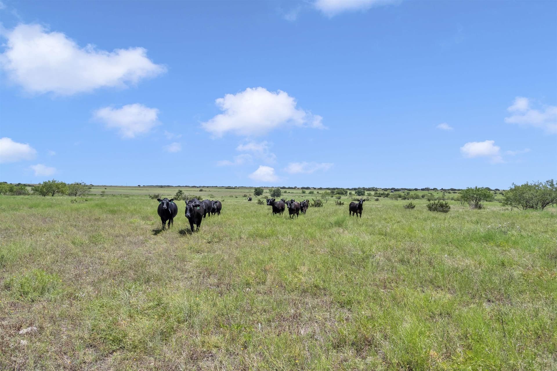 67 acres in Burnet County - photo 15