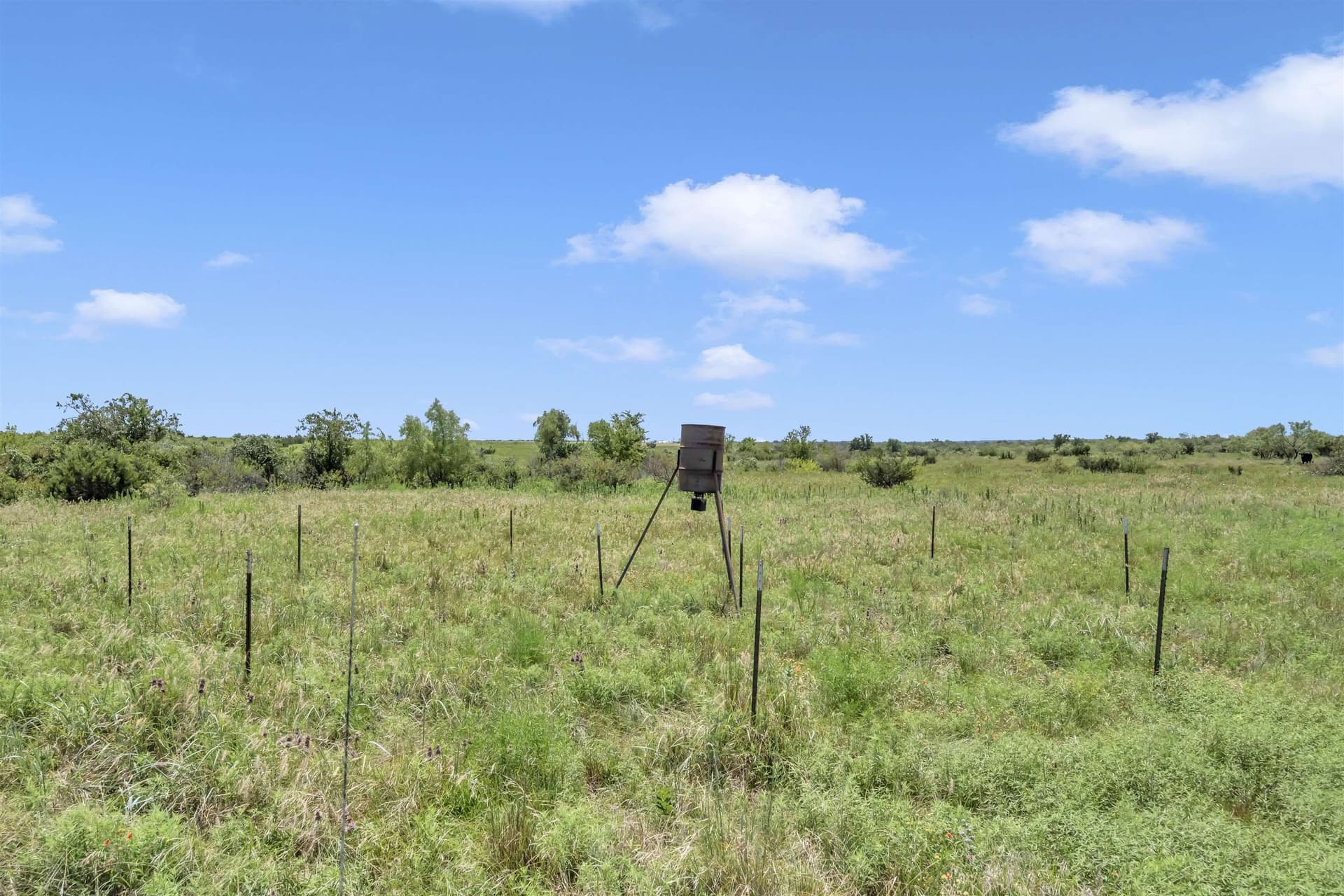 67 acres in Burnet County - photo 25