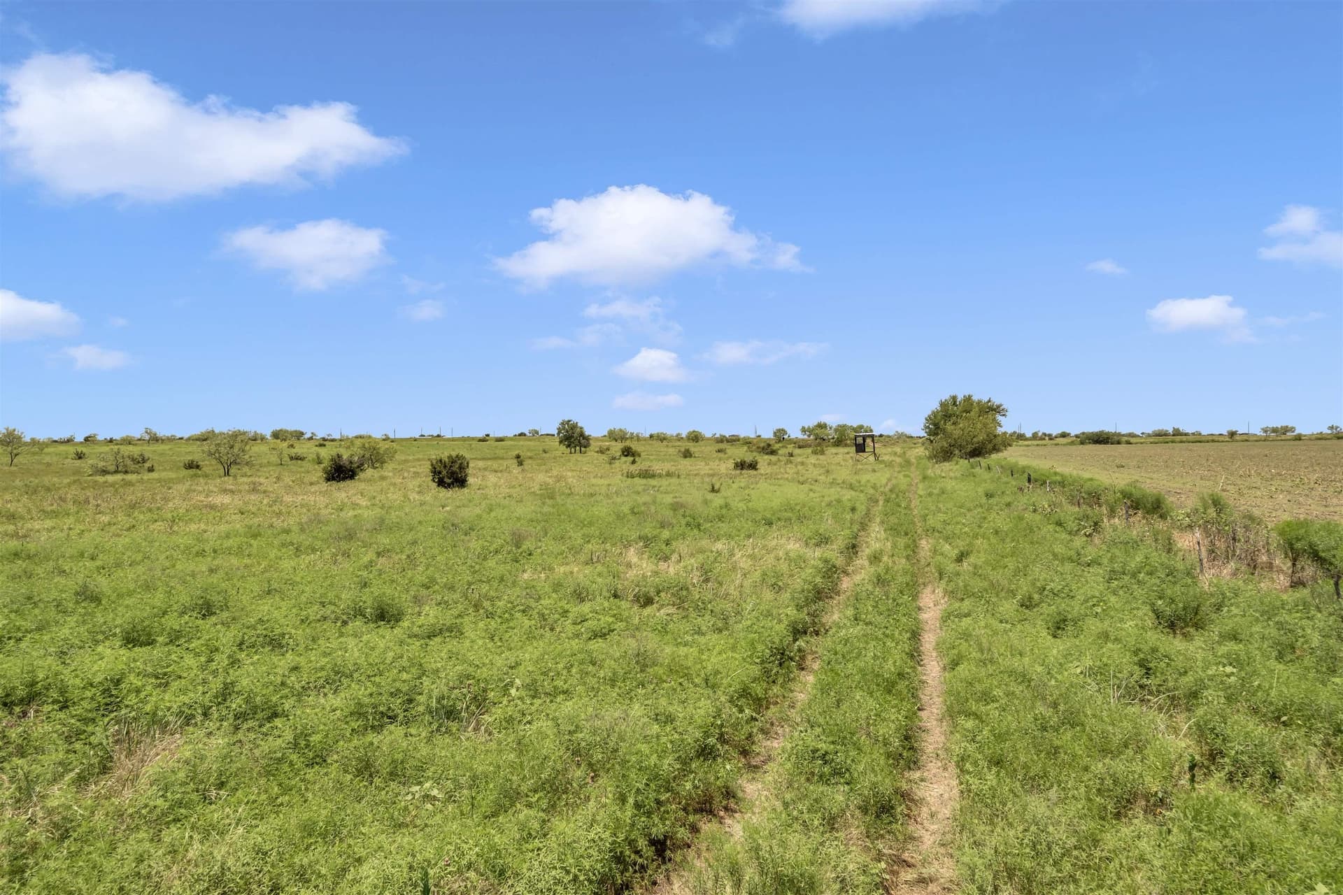 67 acres in Burnet County - photo 26