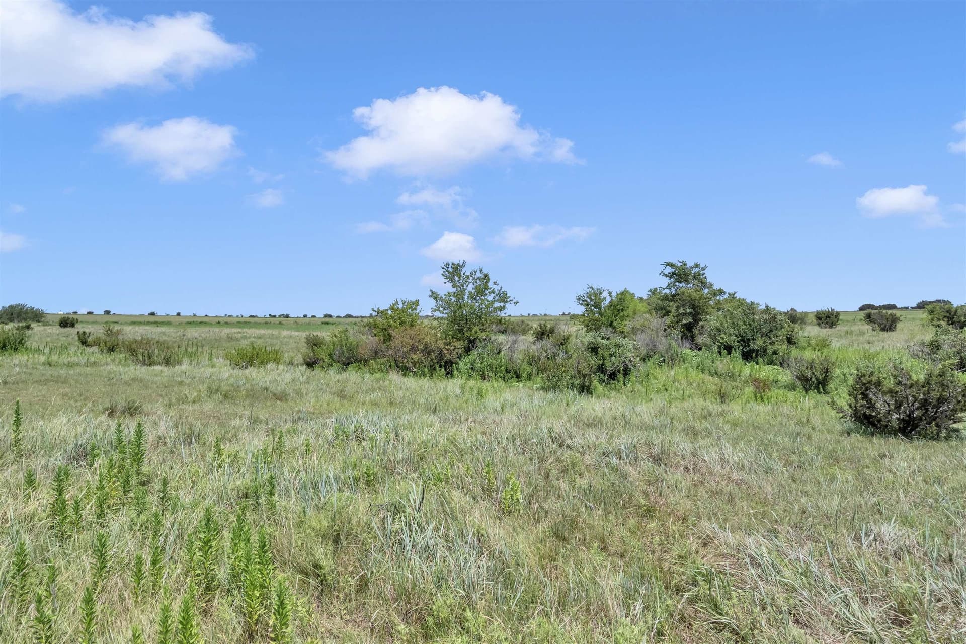 67 acres in Burnet County - photo 23