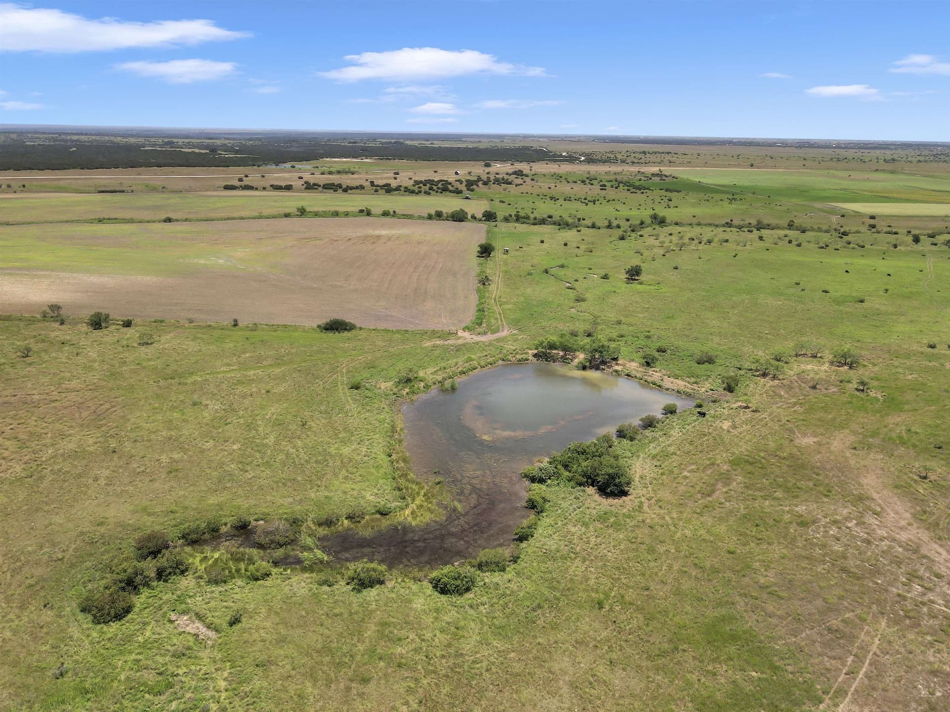 67 acres in Burnet County gallery image 4
