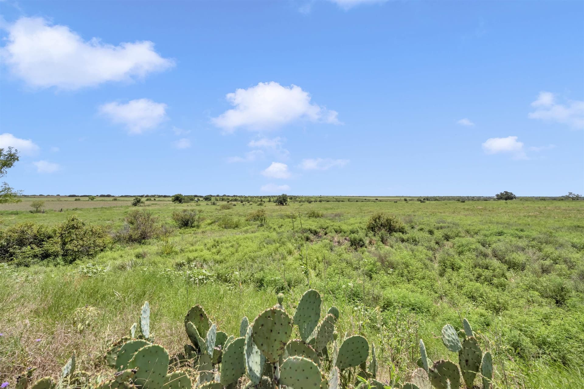 67 acres in Burnet County - photo 8