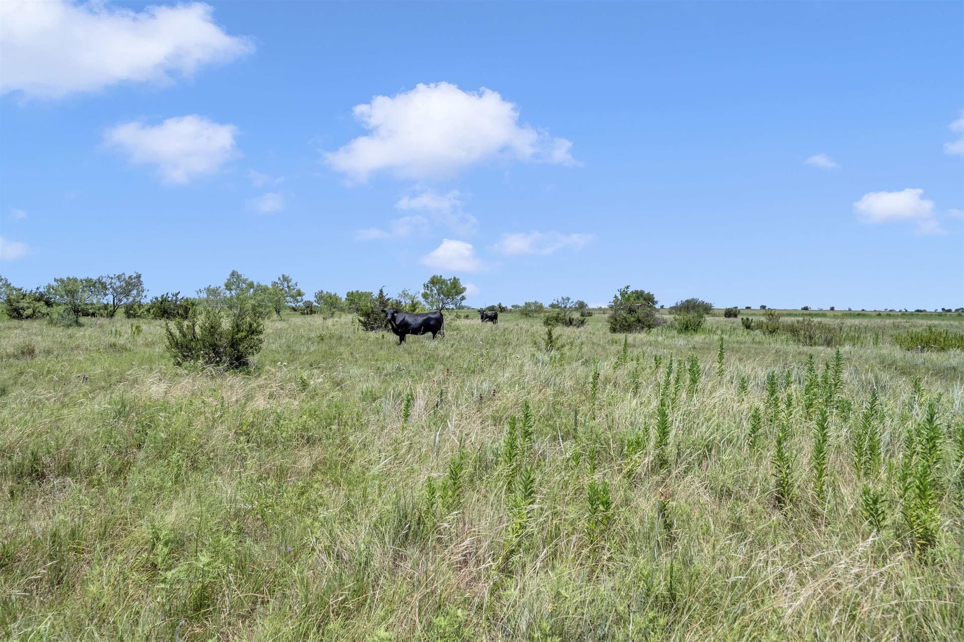 67 acres in Burnet County - photo 21