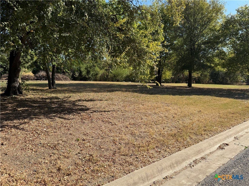 0.58 acres in Bell County - photo 7