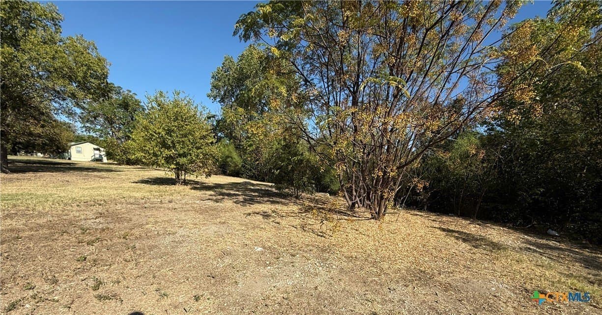 0.58 acres in Bell County gallery image 3