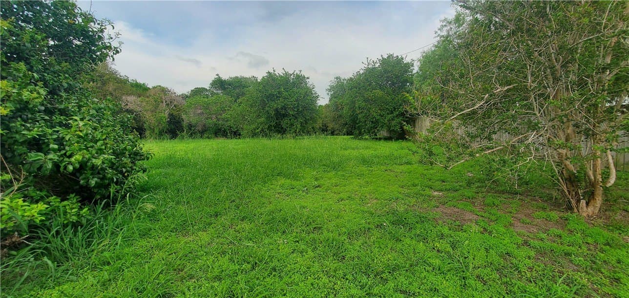 0.32 acres in Nueces County gallery image 3