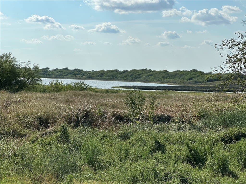 0.88 acres in Calhoun County gallery image 2