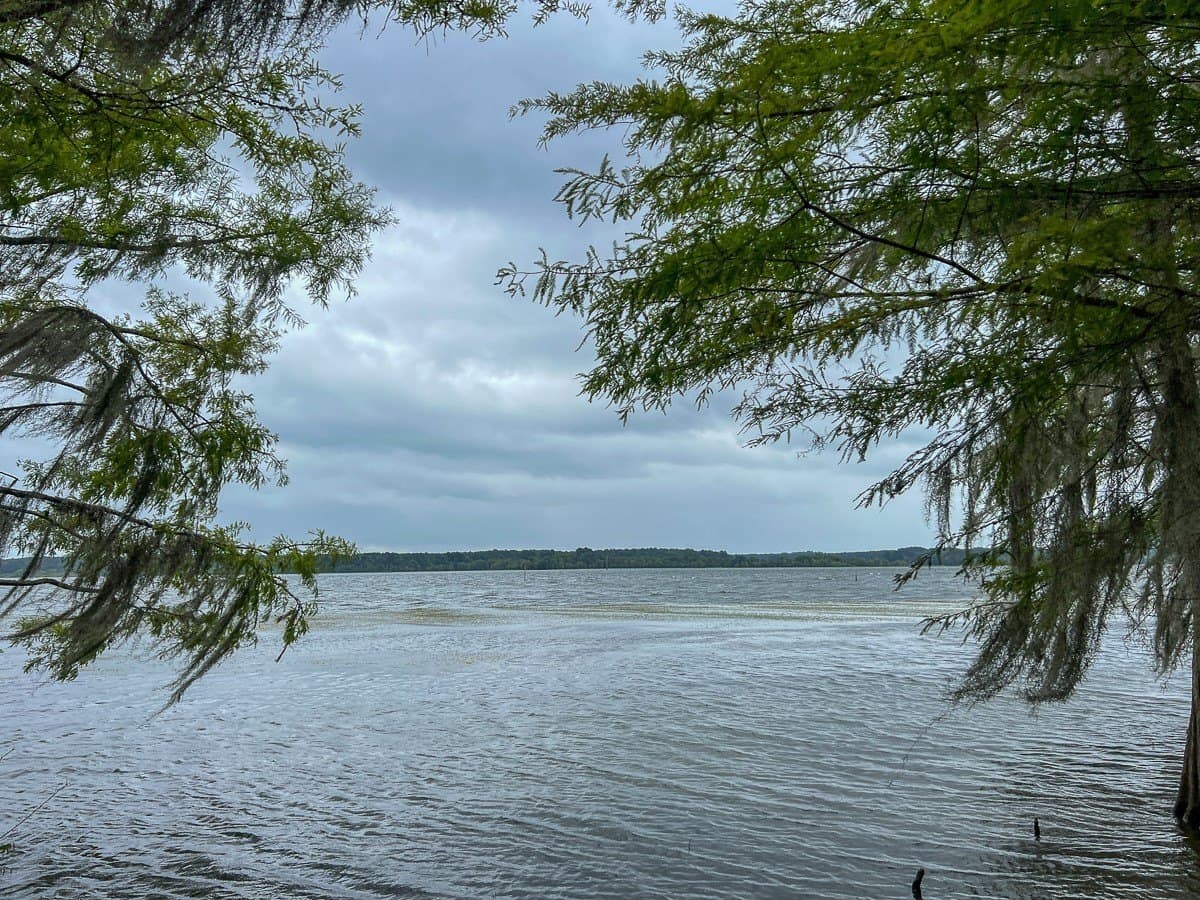14 acres in Sabine (TX) County - photo 16