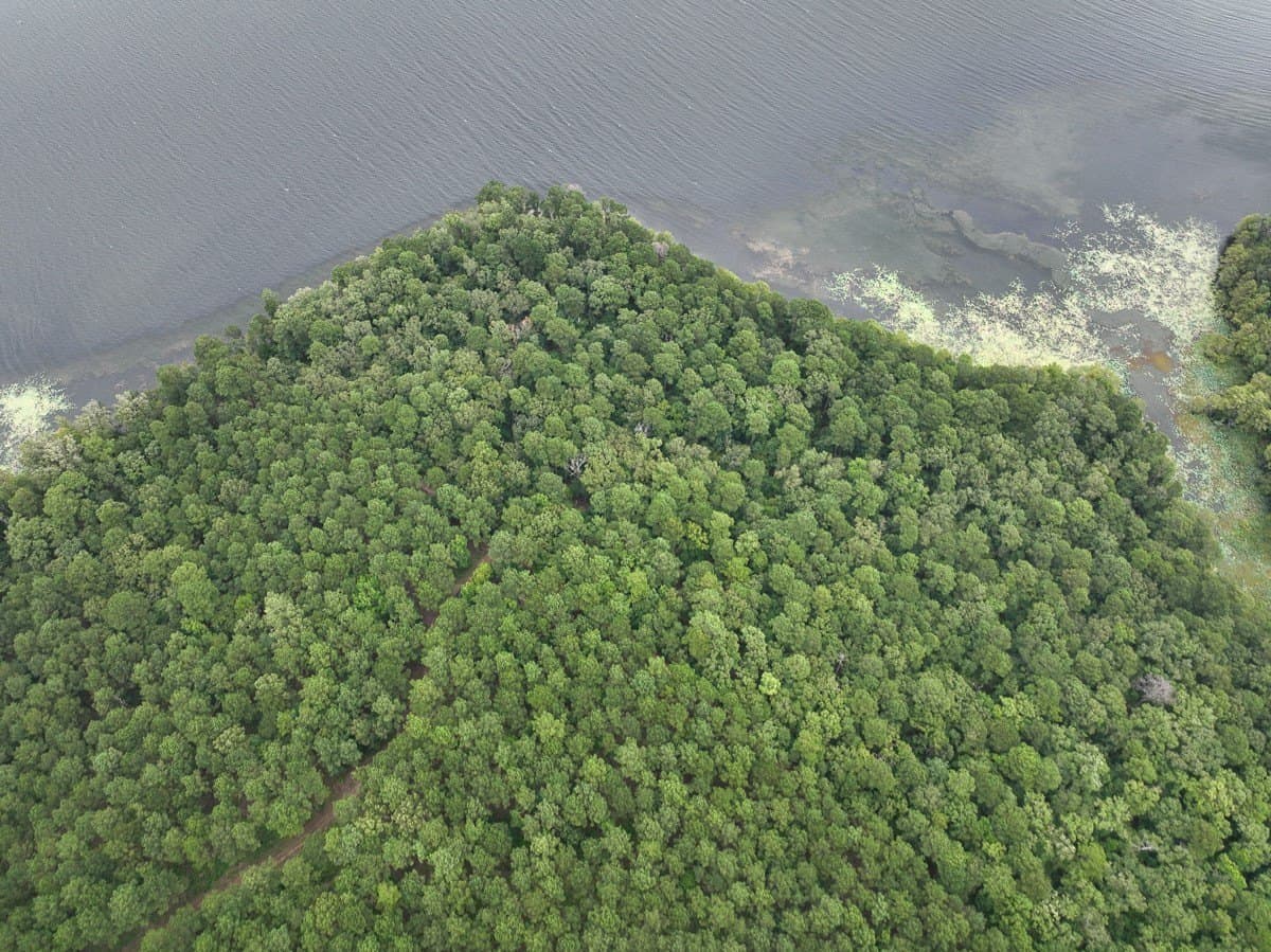 14 acres in Sabine (TX) County - photo 26