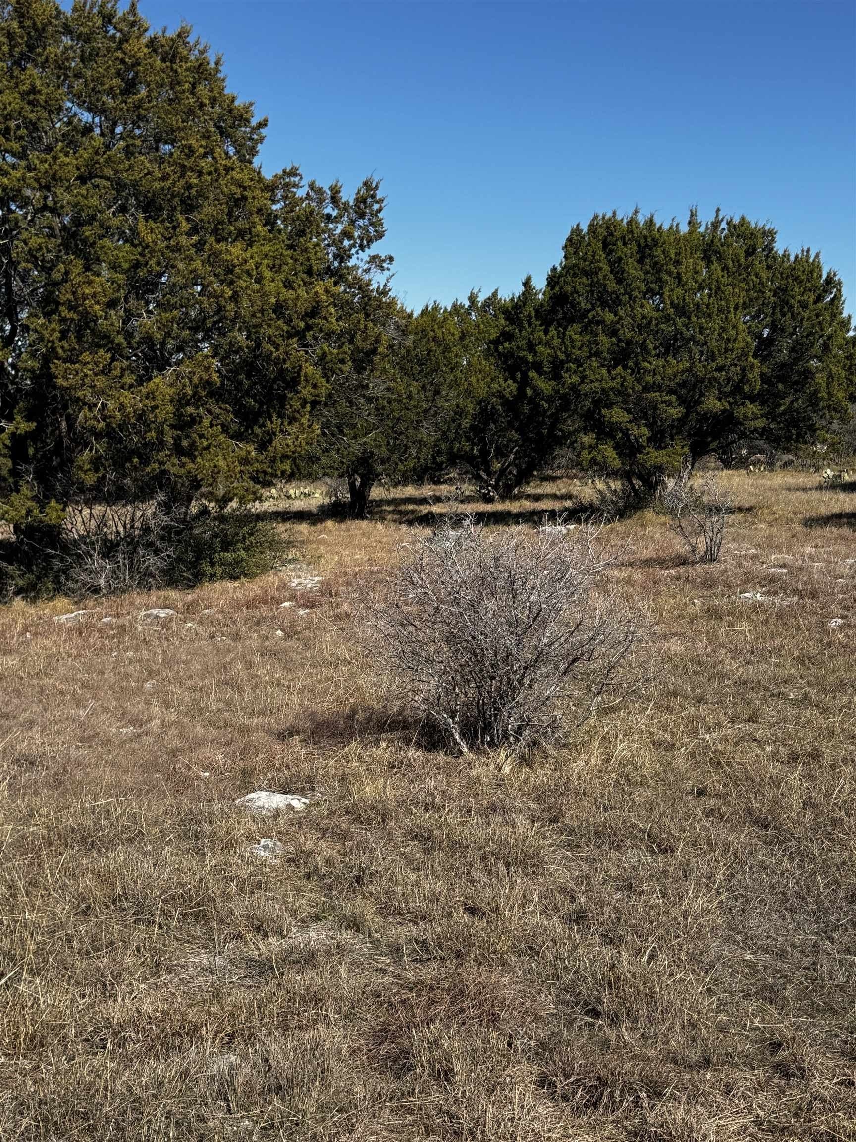 0.26 acres in Llano County gallery image 3