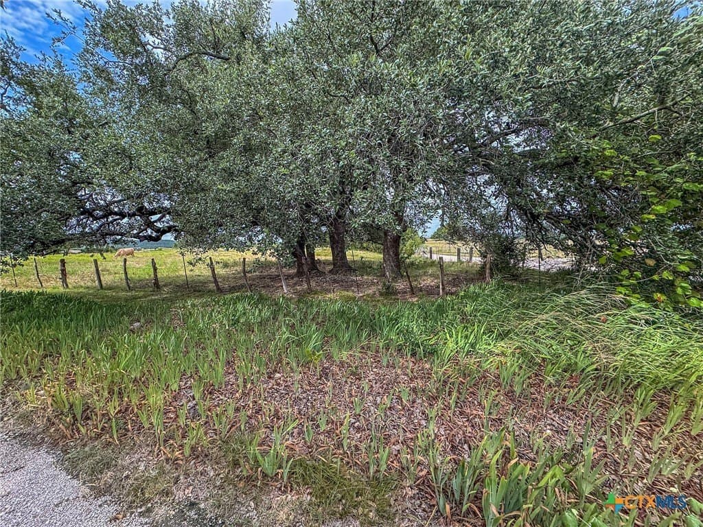 107.73 acres in Coryell County - photo 10