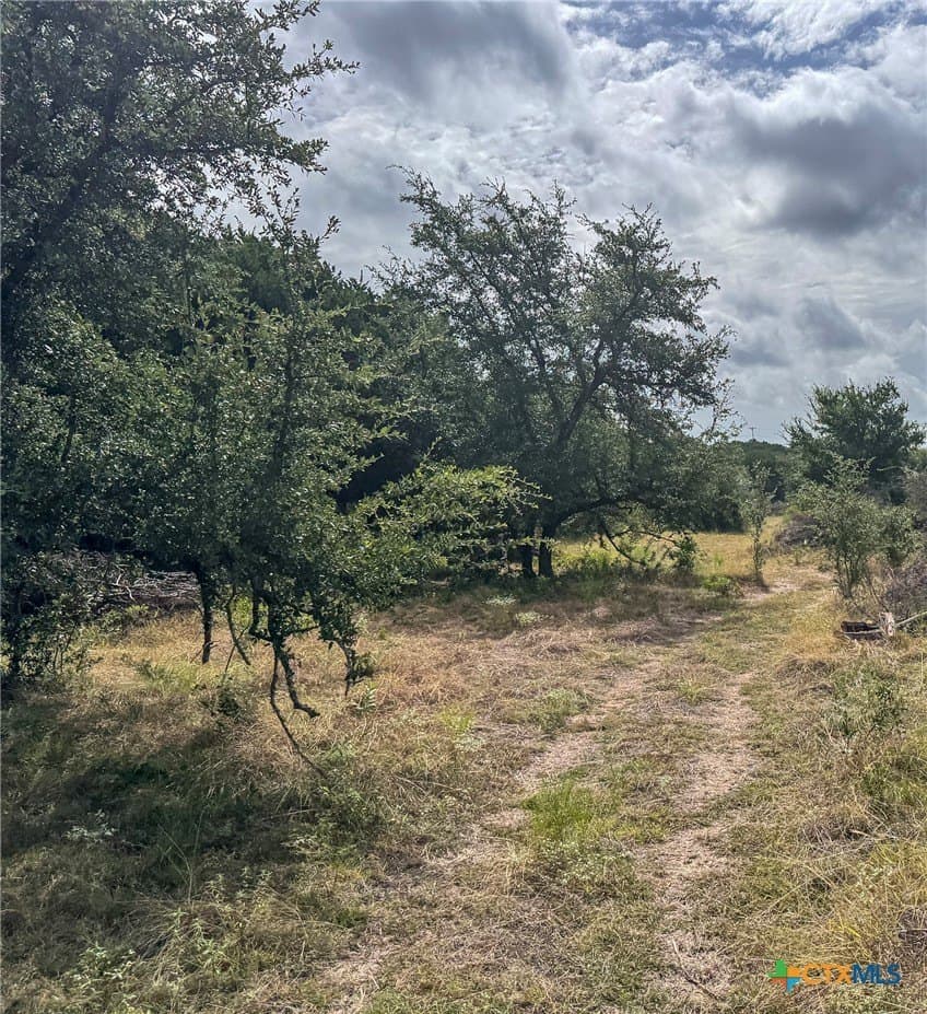 107.73 acres in Coryell County - photo 39