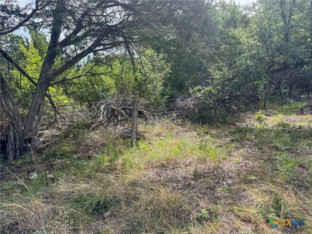 107.73 acres in Coryell County - photo 40