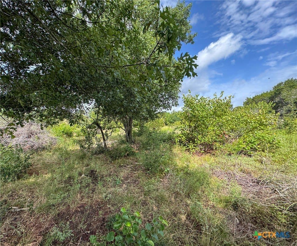 107.73 acres in Coryell County - photo 37