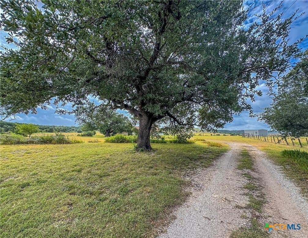 107.73 acres in Coryell County - photo 9