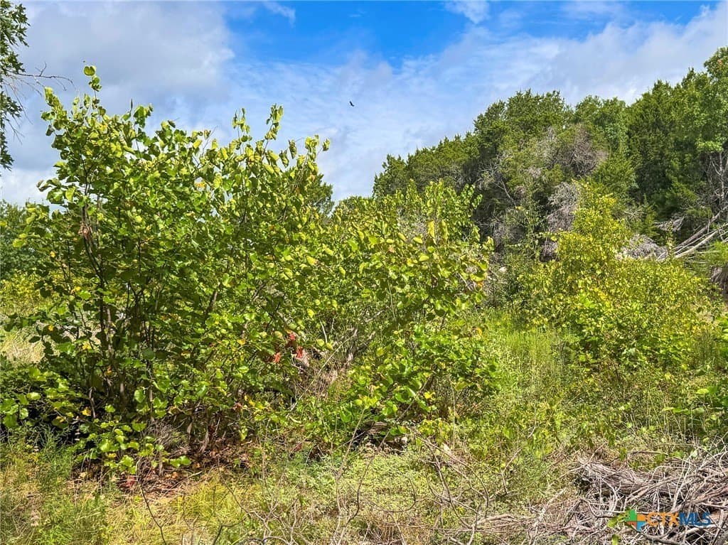 107.73 acres in Coryell County - photo 33