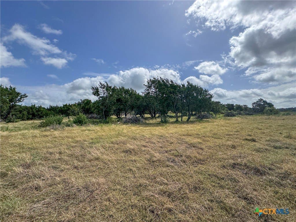 107.73 acres in Coryell County - photo 42