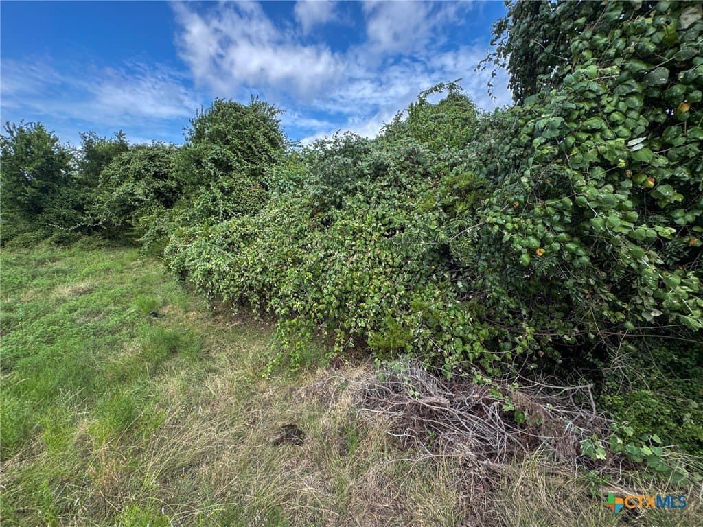 107.73 acres in Coryell County - photo 34